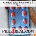 Kamagra Jalea Paquete De 7 Días 06